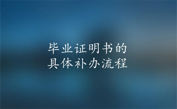 补办流程