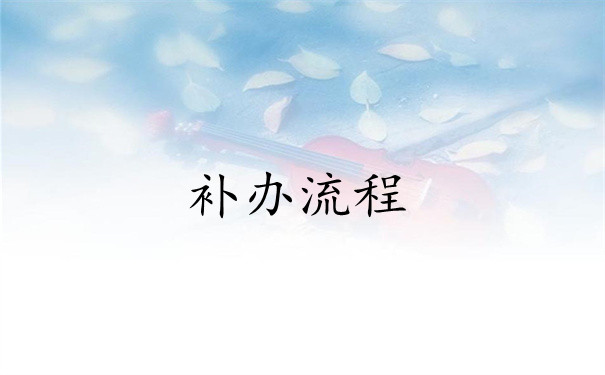 补办流程