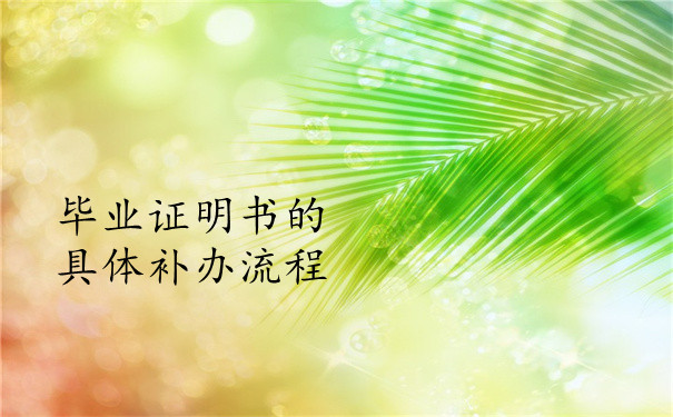 补办流程