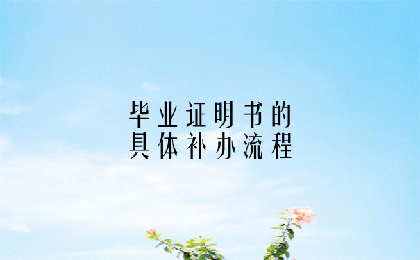 补办流程