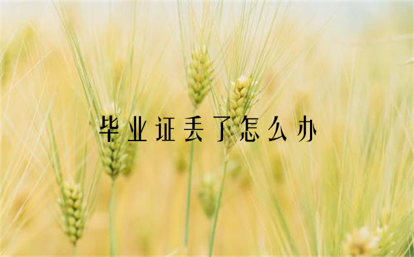 毕业证丢了怎么办