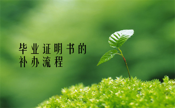 补办流程