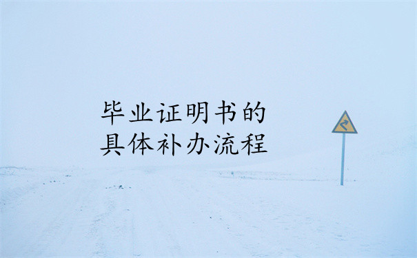 补办流程