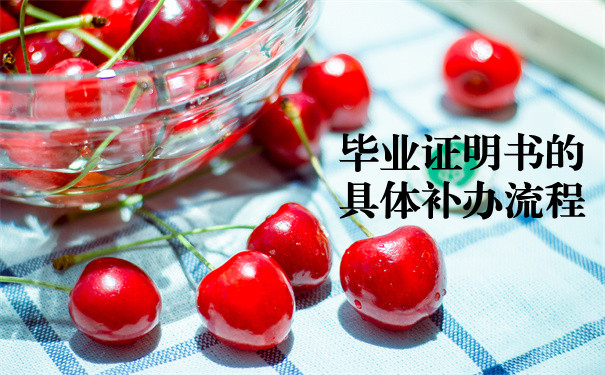 补办流程