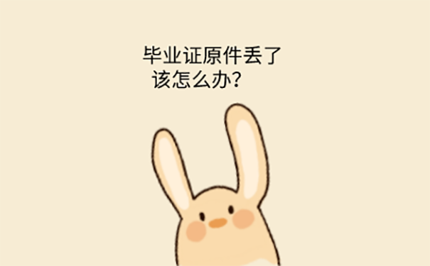 高中毕业证找不到怎么补救？ 