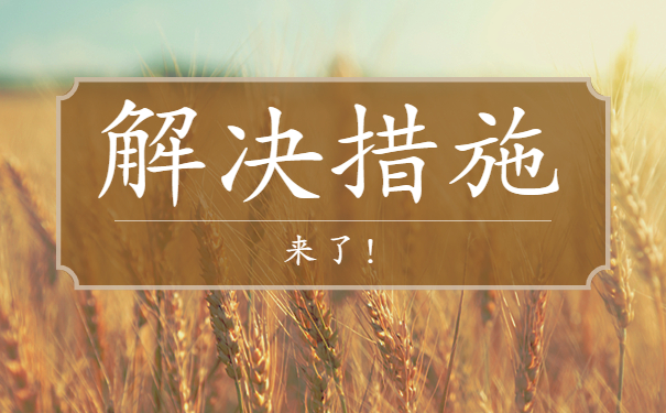 毕业证