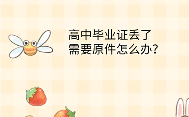高中学历证书弄丢了
