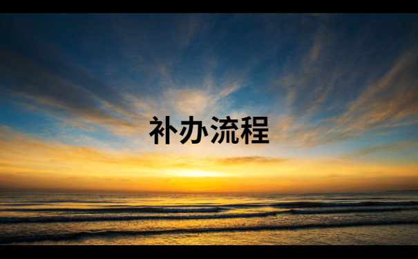 补办流程