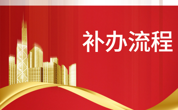 补办流程