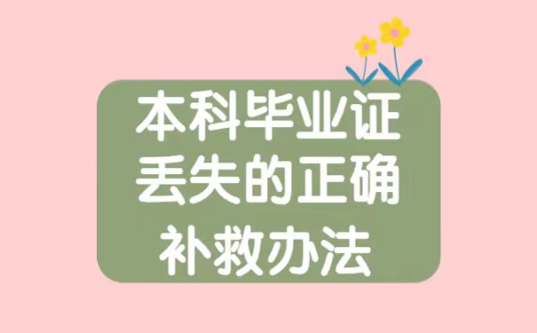 本科毕业证原件丢了怎么补