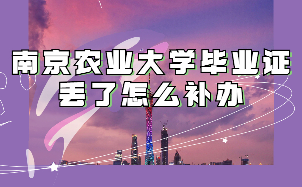 毕业证