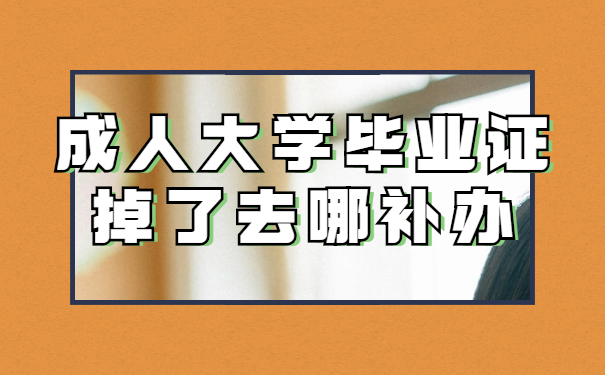 毕业证