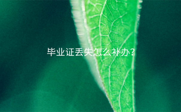 毕业证丢了怎么办？
