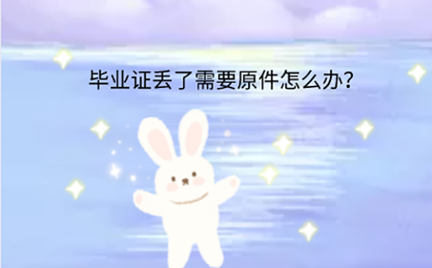 青岛大学毕业证丢失怎么补办？