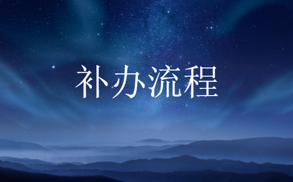 补办流程