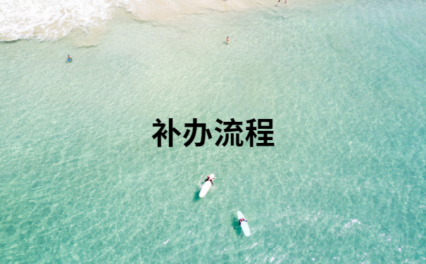 补办流程