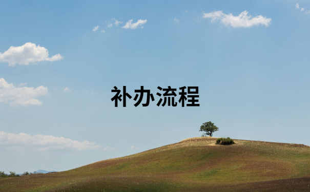 补办流程