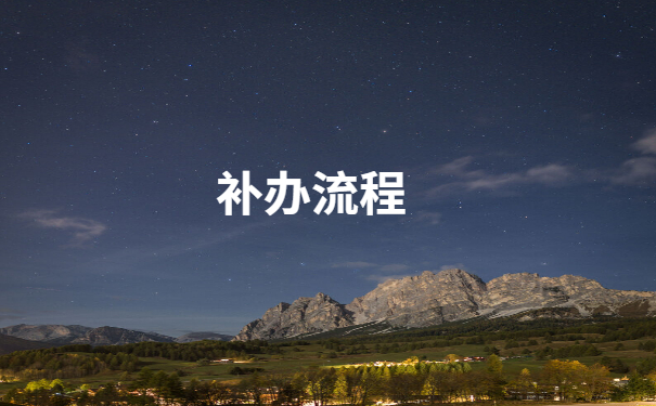 补办流程
