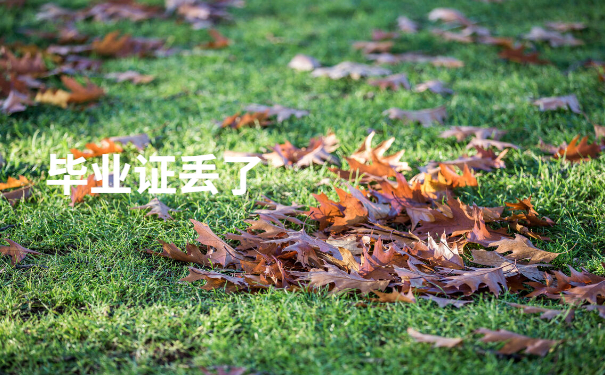 毕业证丢了