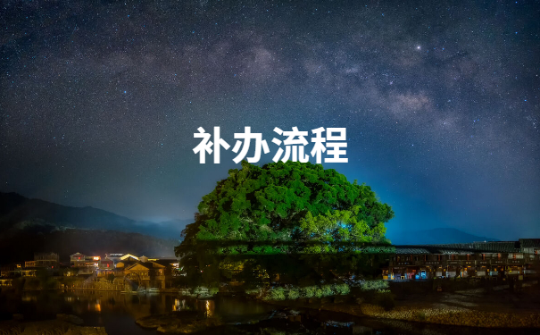 补办流程