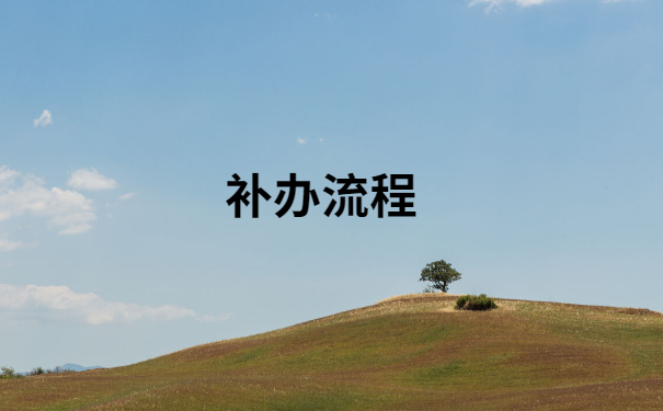 补办流程