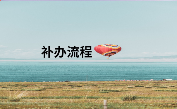 补办流程