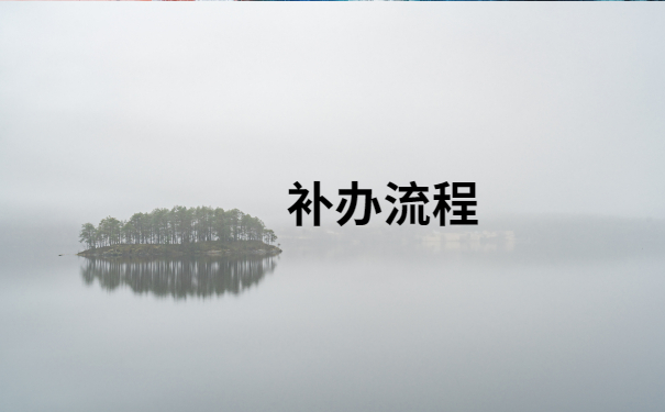 补办流程