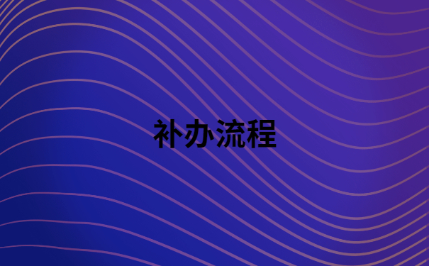 补办流程