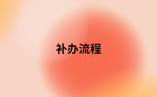 补办流程