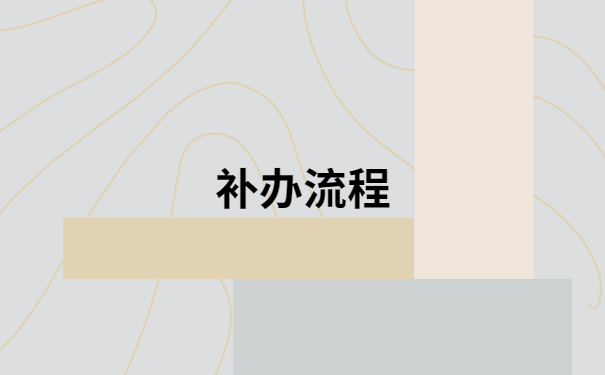 补办流程