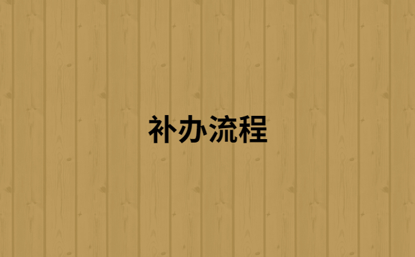 补办流程