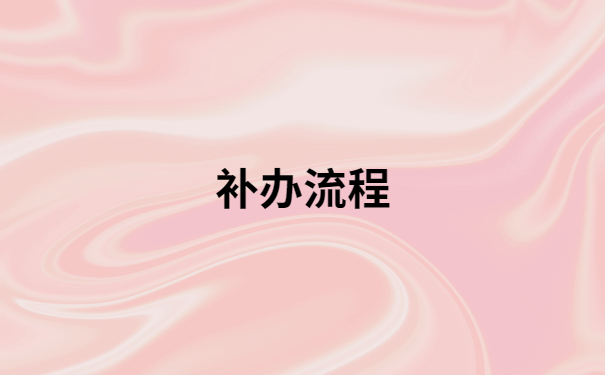 补办流程
