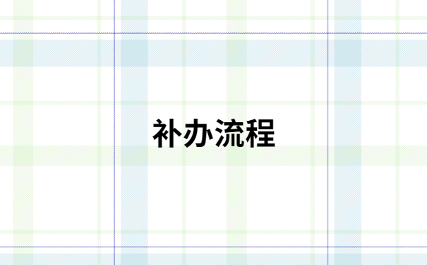 补办流程