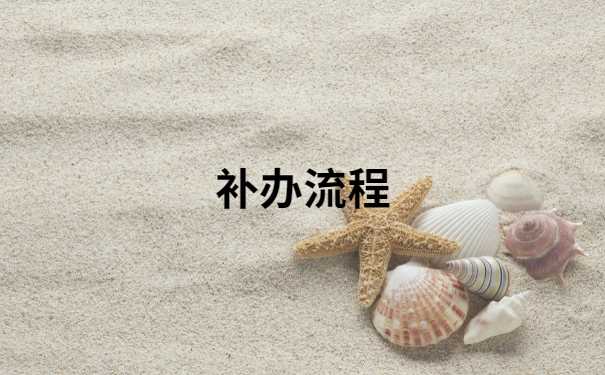 补办流程
