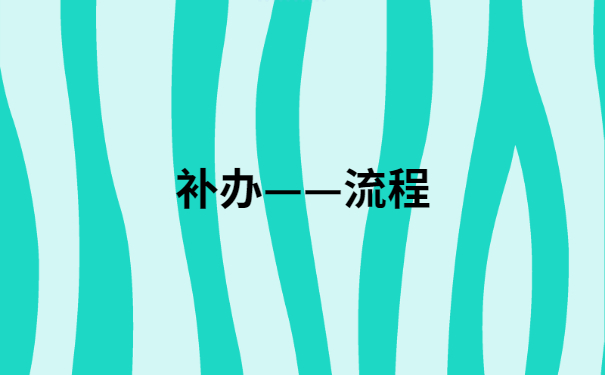 补办流程