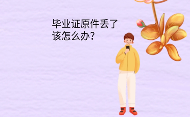 毕业证丢了