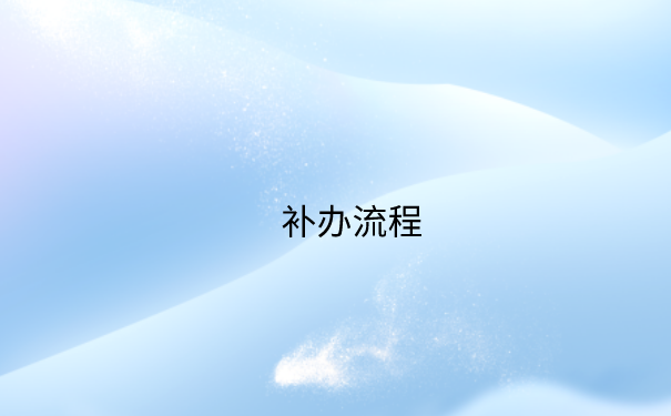 补办流程