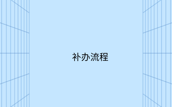 补办流程
