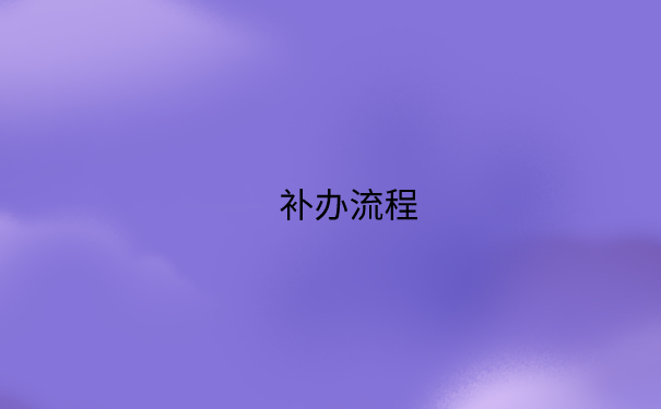 补办流程