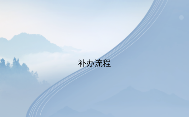 补办流程