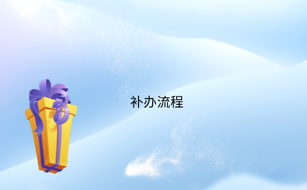 补办流程
