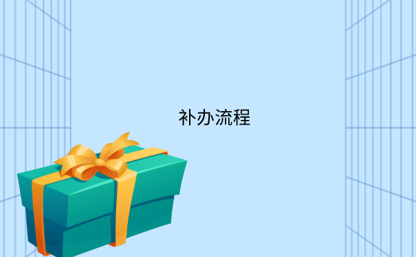 补办流程