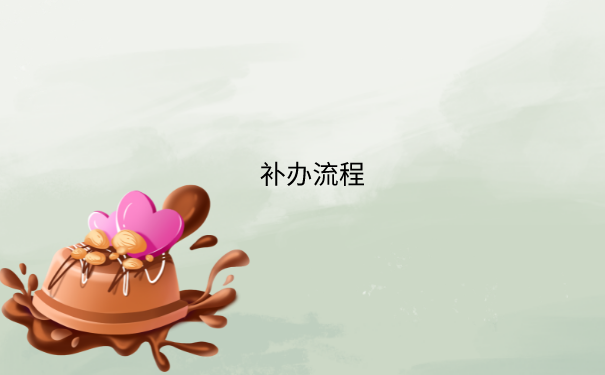 补办流程