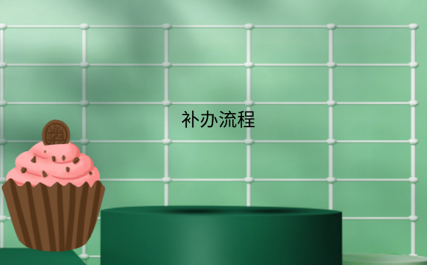 补办流程