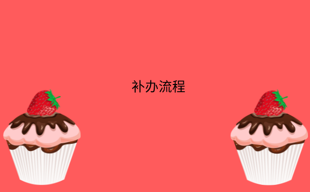 补办流程