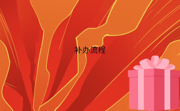 补办流程