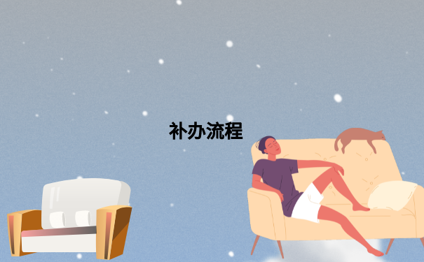 补办流程