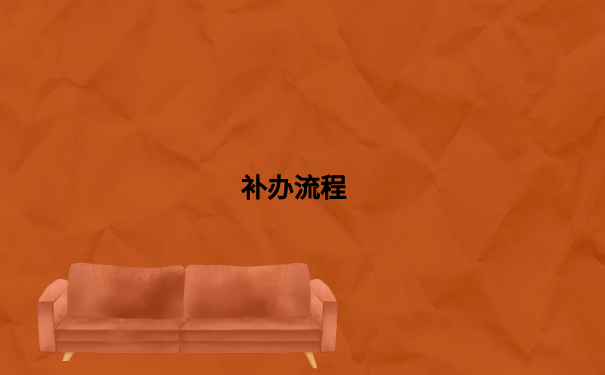 补办流程