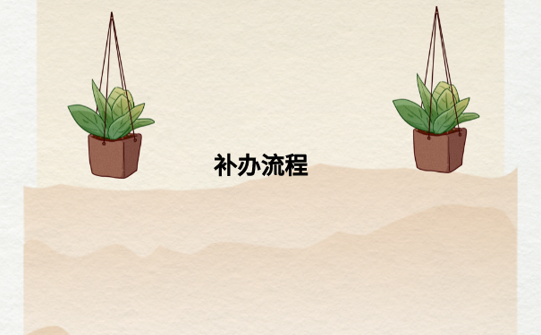 补办流程