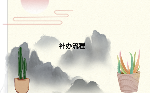 补办流程